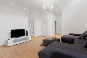 柏林西克夫斯腾达姆大中央城市公寓 的带沙发和平面电视的客厅