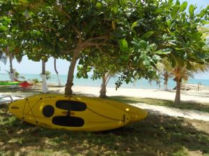 科韦尼亚斯Condominio Milagros Coveñas的海滩上一棵树下的一个黄色皮艇