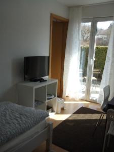 蒂宾根City Apartment Tübingen-Lustnau的一间卧室设有一张床、一台电视和一个窗口。