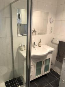 布罗肯希尔亚丹山林小屋的白色的浴室设有水槽和淋浴。