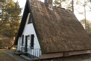 朗克维茨Reetdach-Ferienhaus in Quilitz的一座白色的小建筑,拥有茅草屋顶