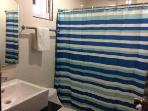 奥隆阿波马尼亚娜酒店 的浴室配有淋浴帘和盥洗盆。