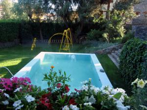 普奇塞达马廷内酒店的花田里的小型游泳池