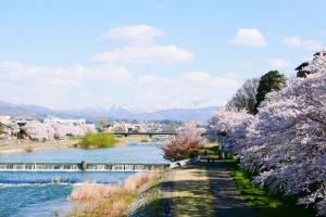 金泽K's House Kanazawa - Travelers Hostel的一条有开花树木和山 ⁇ 的河流