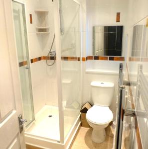 纽基Harrington Guest House的带淋浴和卫生间的白色浴室