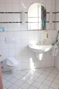 罗滕伯格赫希酒店的白色的浴室设有水槽和卫生间。