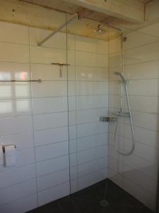 罗埃特根Ferienwohnung "im Winkelhof"的浴室里设有玻璃门淋浴