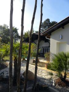 安德诺莱斯贝恩Villa Mogador Piscine et Balnéo的前面有棕榈树的房子
