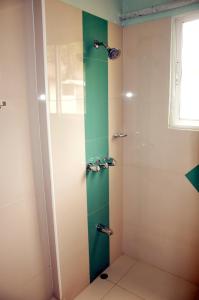 太子港Sams Hotel的浴室配有淋浴,拥有绿色和白色的墙壁
