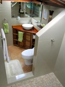 别霍港菲西斯加勒比住宿加早餐酒店的一间带卫生间、水槽和镜子的浴室