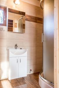雅罗斯瓦维茨Ośrodek Wczasowy Maliwa的一间带水槽和淋浴的浴室