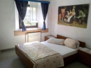 斯洛文尼亚比斯特里察Guesthouse Veles的卧室配有一张床,墙上挂有绘画作品