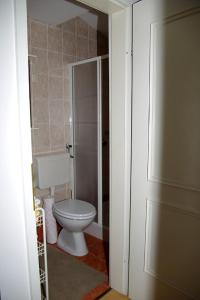 马里博尔Apartment Zupan的一间带卫生间的浴室和一扇门