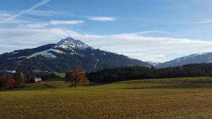 Bauernhof Buchberg平面图