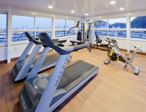 里约热内卢科帕卡巴纳顶级酒店的船上的健身房,配有有氧器材