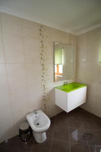 萨布盖鲁Casa do Telheiro的一间带水槽、卫生间和镜子的浴室