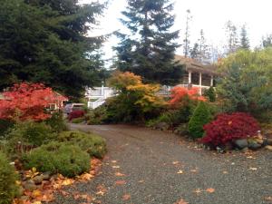 RoystonLittle Bear Garden View Suites-Hummingbird的车道,在树屋前
