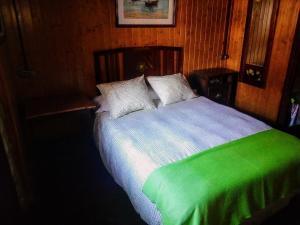 San RománCasa de la capilla的一间卧室配有一张带绿毯的床