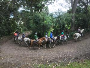 Hacienda La Alegría阿里希亚庄园酒店的一群骑马的人在土路下骑着