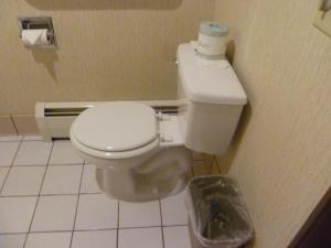 PhillipsTimber Inn Motel的一间带卫生间和垃圾桶的浴室