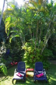 道格拉斯港粉红火烈鸟度假酒店的两把椅子坐在棕榈树前的草上