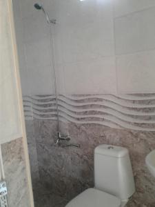 高尼奥Gonio Apsaros House的带淋浴、卫生间和盥洗盆的浴室