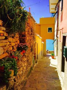 克里日亚Belvedere Affittacamere的一条狭窄的小巷,有石墙和鲜花