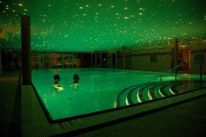 格罗斯滕菲斯克纳斯享受度假码头酒店的2名儿童在带绿色天花板的游泳池游泳