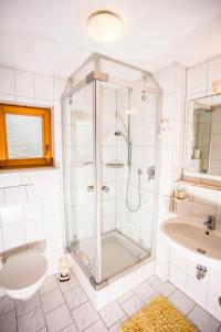 希洛谢克兰德豪斯贝亚特公寓的带淋浴和盥洗盆的浴室