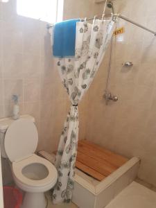 内罗毕China Garden的一间带卫生间和淋浴帘的浴室
