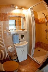 布兰斯科玛卡恰旅馆的一间带水槽、淋浴和卫生间的浴室