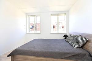 哥本哈根CPH Lux apartm, 2 FULL BATHROOMS 2th的一间卧室设有一张床和两个窗户。