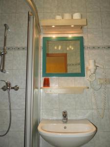 克拉根福Gasthof Schlosswirt的一间带水槽、镜子和淋浴的浴室