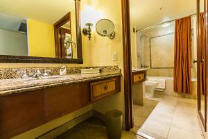 阿卡普尔科阿卡普尔科帝国皇家公主里维埃拉钻石度假村的一间带水槽、卫生间和镜子的浴室