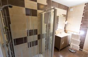 维勒塞瑟尔泰莱希酒店的带淋浴和盥洗盆的浴室