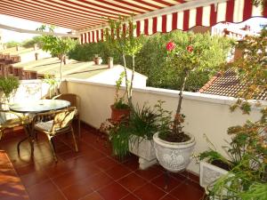 瓜达拉哈拉奥特罗旅馆的阳台配有桌子和盆栽植物