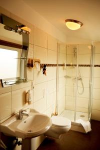 哥廷根泛海酒店的浴室配有卫生间、盥洗盆和淋浴。