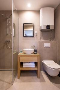 扎达尔Domus Romana Lux的一间带水槽、卫生间和镜子的浴室