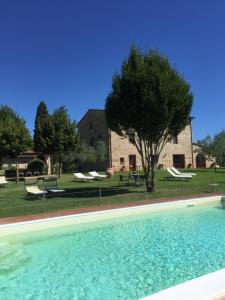 皮耶韦城San Carlo a La Molinella的一座树屋前的游泳池