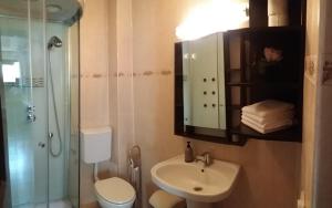 阿祖加Snow Residence Azuga的一间带水槽、淋浴和卫生间的浴室