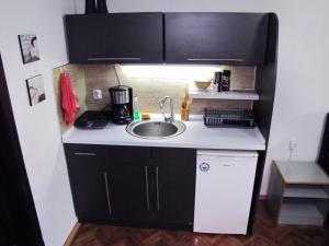 奥赫里德豪斯公寓及客房的一个带水槽和柜台的小厨房