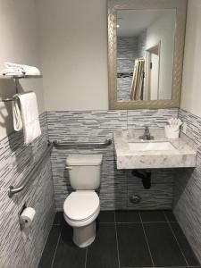威斯敏斯特行政套房酒店 的一间带卫生间和水槽的浴室