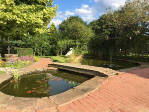 奥斯威斯Maesbury Riverside的花园中的池塘,有给它提供抗艾的药物
