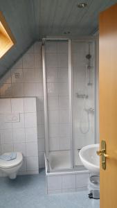 Großsölk格兰德尔之家旅馆的带淋浴、卫生间和盥洗盆的浴室