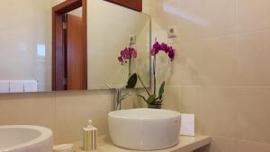 拜昂Casa Douro Terrace的浴室设有水槽、镜子和紫色的鲜花