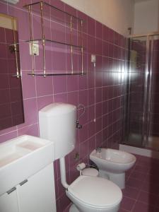 吉尔斯Hotel Central Jardim的紫色浴室设有卫生间和水槽