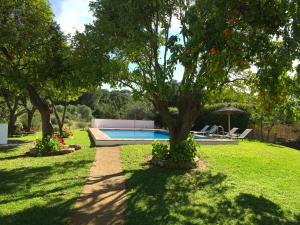 高辛Ventorro del Herrero - The Old Forge的一个带游泳池、树木和草地的庭院