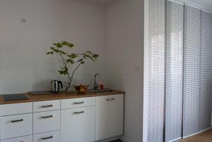 克拉科夫Lovely Jubbly Apartment的厨房配有白色橱柜和台面上的植物