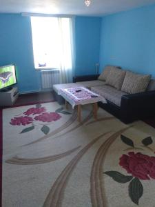 巴库Guest house near Baku airport的客厅配有沙发和桌子