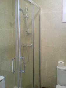 略夫雷加特河畔奥斯皮塔莱特Castel Apartments的浴室里设有玻璃门淋浴